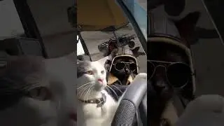 Did they just drift a helicopter. #explore #shorts #fyp #viral