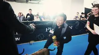 Amazing Bully Show 2017
