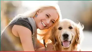 Executive Dog Training | Bespoke In‑Home Dog Training for Discerning Owners in SA&rsquo;s Top Regions