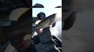 Полное видео уже доступно! #ловлябасса #рыбалка #ловлянаприманку