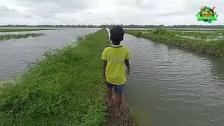 Thundippuram Padam Ente Nadu Ayyampilly Kuzhuppilly beach Vypin തുണ്ടിപ്പുറം പാടം  വൈപ്പിൻ