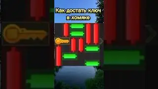 КАК ДОСТАТЬ КЛЮЧ В ХОМЯКЕ❓HAMSTER KOMBAT
