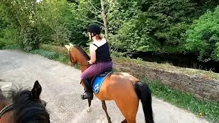 A ride around the Roman Lakes in Marple, Cheshire on Maximus and George