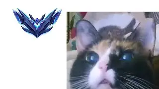 I am ranked god kitty protect us