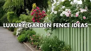 Luxury Garden Fence Ideas 🌹 | Climbing Roses to Elevate Your Outdoors
