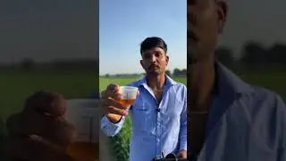 New Farming Technology 🚁 | Crop Spraying by Drone | Smart Agriculture #organicfarming #indianfarmer