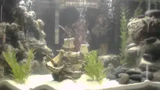 Rare underwater water fall fish tank. Must See.