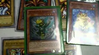 Genex Ally Birdman