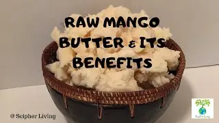 Raw Mango Butter And Its Benefits | SCIPHER LIVING | ALKALINE