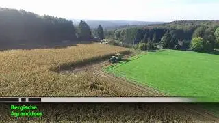 Mais Ernte 2017