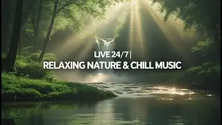 Relaxing Nature Sounds & Peaceful Music &mdash; 24/7 Live Stream for Study, Sleep & Meditation