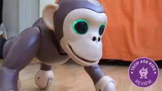 Zoomer Chimp Review