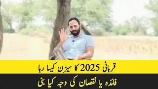 Qurbani 2025 Loss or Profit | Chakwal Goat Farm | 9 June 2025