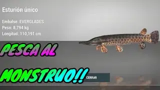 ESTURION UNICO EVERGLADES!! Como pescarlo gameplay espa&ntilde;ol fishing planet