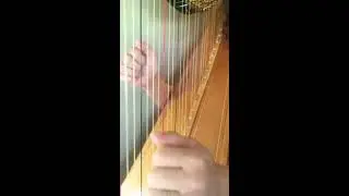 Mercy | Shawn Mendes | Harp Cover | Tampa, FL