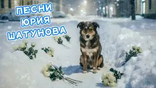 ЛЮБИМЫЕ ПЕСНИ на стриме  ‪‪@KristinaAshmarina  #ютубситихолл #shorts🎙️