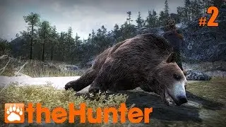 The Hunter #2 | Бурый медведь
