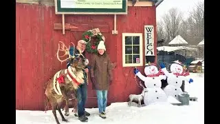 VERMONT REINDEER FARM
