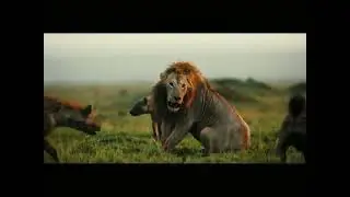 Xurious & Brahmin - The Day Of The Lion
