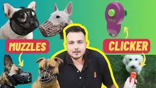Type Of Dog Muzzle and Clickers Used For Dog Training | Basic Equipment Needed For Dog Training