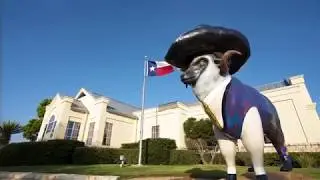 A Community Bank's Purpose - US