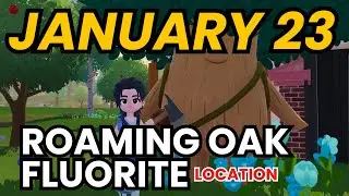 January 23, 2026 - Roaming Oak Tree & Flawless Fluorite Location! Heartopia