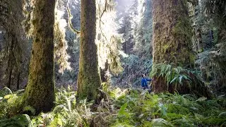 CHEK News 2023: BC signs ‘historic’ $1B agreement to protect lands and waters