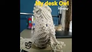 Macrame Owl