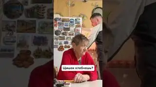Всего на пару недель переехал последить за котами
