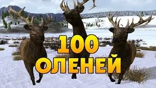 УБИЛА 100 САМЦОВ ВАПИТИ | WolfQuest 2.7.3