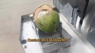 coconut cutting machine