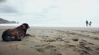 Bethells Beach Surfing - DJI Phantom 3 PRO