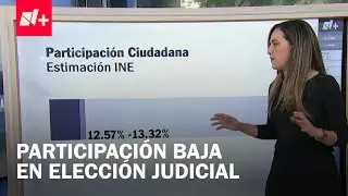 Baja participaci&oacute;n en la Elecci&oacute;n Judicial 2025 - Despierta