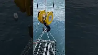 LE CASSE DI VINO DA COLLOCARE NEL LAGO: PRONTE PER ESSERE MESSE IN ACQUA