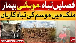 Weather Disaster In Pakistan | Smog Alert | Breaking News