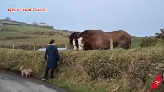 CREGNEASH (Creneash) | Manx National Heritage 🇮🇲 isle of man