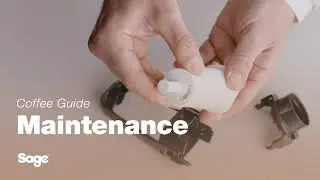 The Barista Touch&trade; Impress | A guide to replacing the water filter | Sage Appliances UK