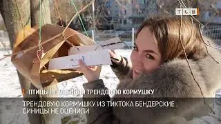 Птицы не оценили трендовую кормушку