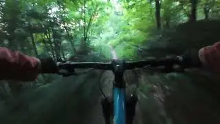 Dżu Dżu (czerwona) - Myślenice Singletracks, Uklejna