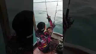 Pancing Liar Tanjung Pinang Strikeee Ikan Katarap Spot Berakit