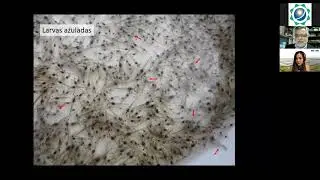 WEBINAR BIOBAC - Claves para el manejo de la capacidad de carga - Dr. Luis Vinatea