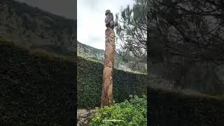 Gibraltar Botanic Garden The Alameda