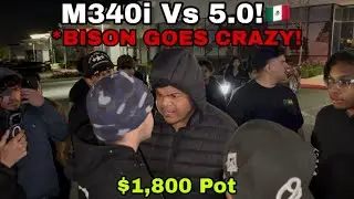 CRAZY DRAMA! BISON GOES CRAZY! M340i Vs 5.0! $1,800 Pot #BMW #Ford #Mustang 