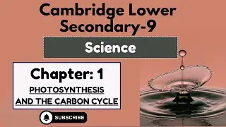 Cambridge Lower Secondary Science Book 9- Chapter 1- Photosynthesis and the carbon cycle-Ex 1.1