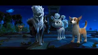 Dogs at the Opera Official Trailer Slow Motion 2x