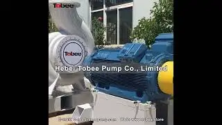 Sulzer Interchangeable A43 350,APP61 500,A53 400 AHLSTAR Pumps Factory