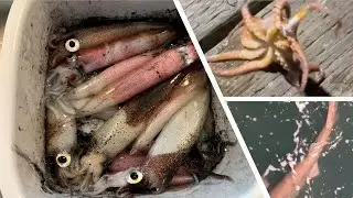 September Puget Sound Squid fishing, ft. Shark and Octopus
