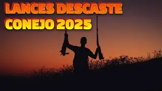 MEJORES LANCES de CAZA de CONEJO con PODENCO 🐕 | Recopilaci&oacute;n Descaste 2025 #perro #cazamenor