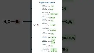 Alkyl Halide Reactions Mind Map | SN1 SN2 E1 E2 Made Easy 😍 | NEET & JEE Chemistry Revision