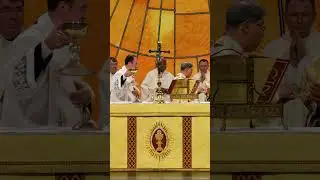 Communion Antipon (Live at the NEC) | Lauren Moore